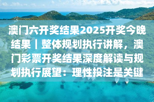 2025澳门精准正版免费,理性购彩.详细解答解释落实